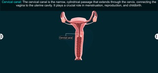 Female Repro Sys - EduTech Era iPhone screenshot