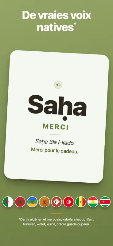 Dialect : apprends ta langue screenshot 3 of 8