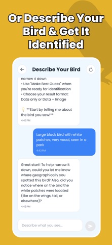 Bird Identifier - Birdify screenshot
