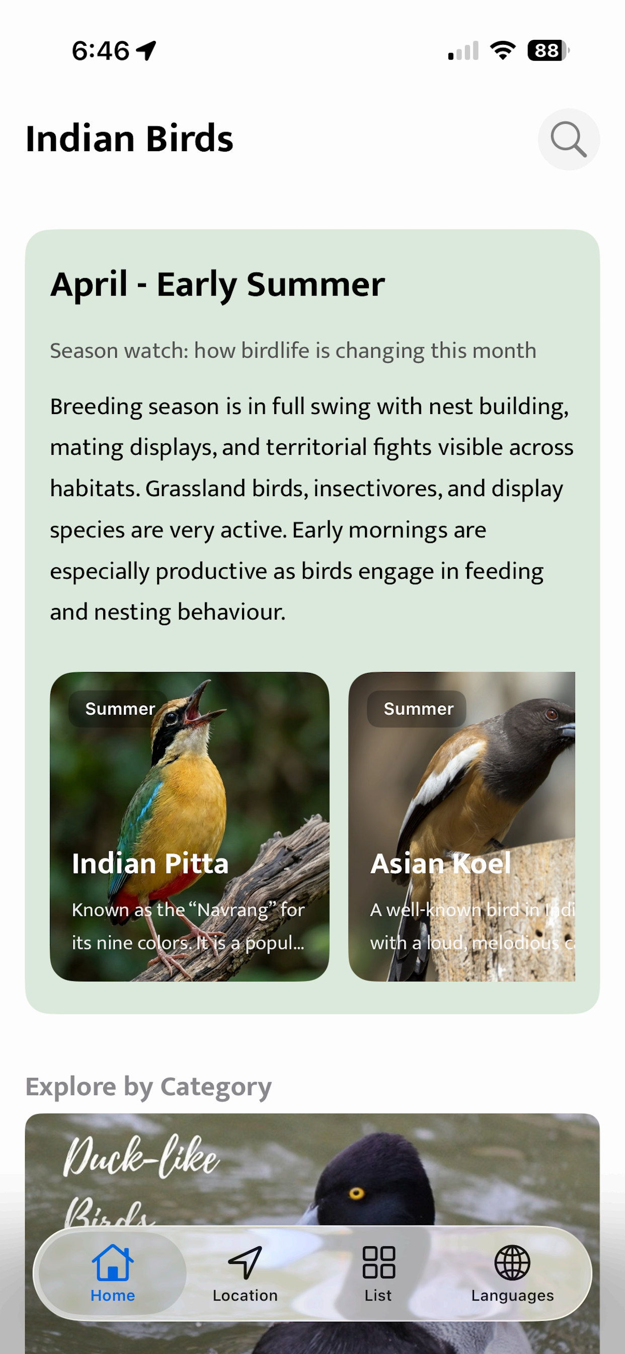 Indian Birds