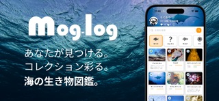 mog-log｜みんなで作る海の生き物図鑑 screenshot
