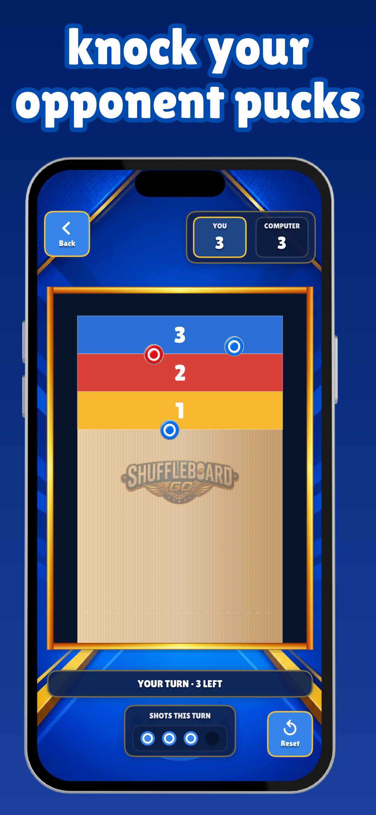 Shuffleboard Go - Puck & Slide