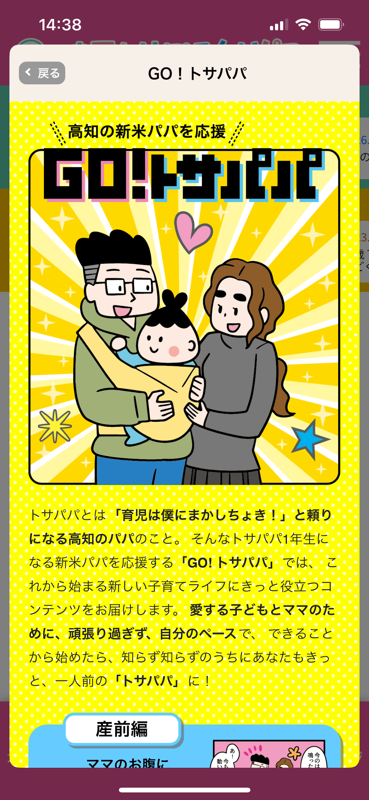 おでかけるんだパス