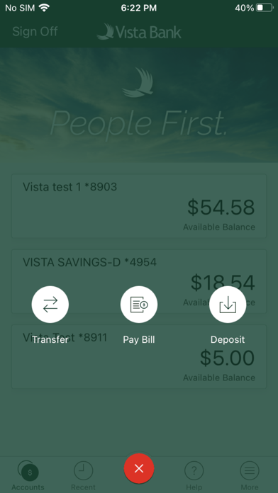 Vista Bank Treasury eServices Screenshot