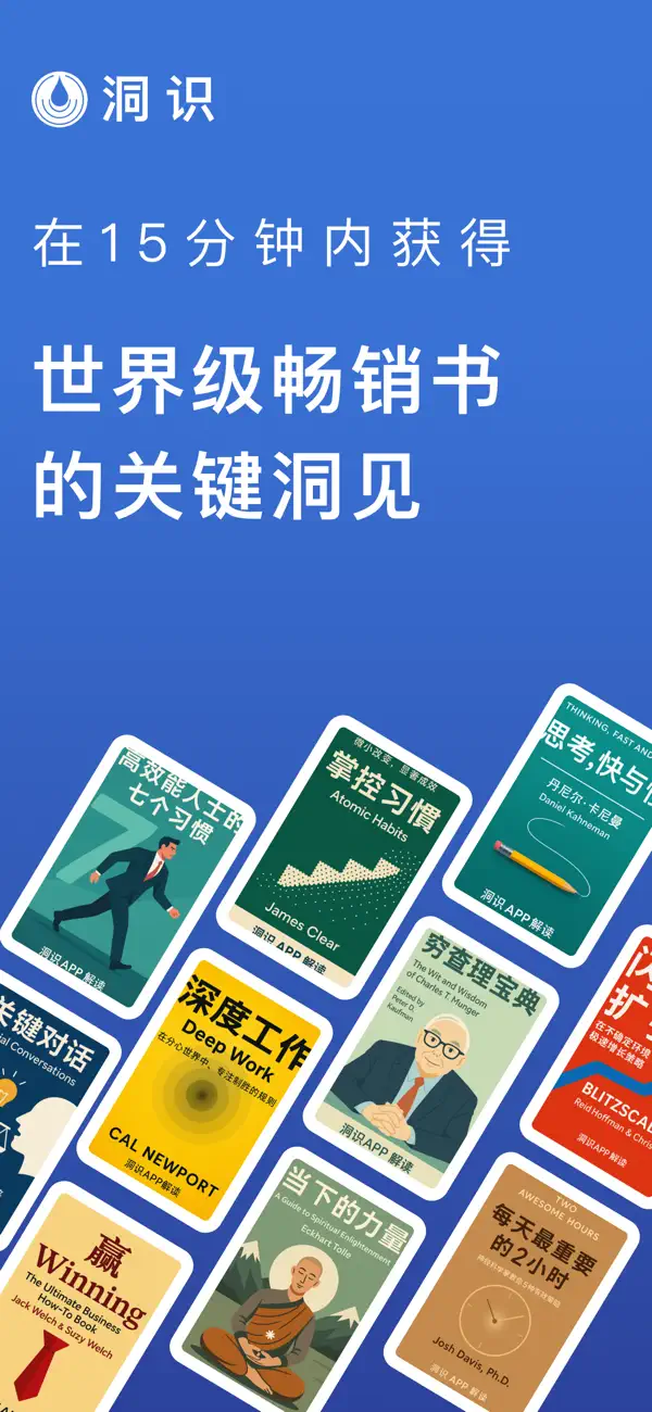 洞识：15分钟摘要 截图 1
