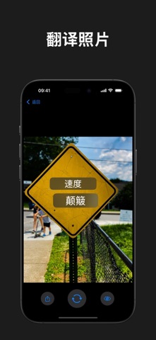 VI Translator screenshot