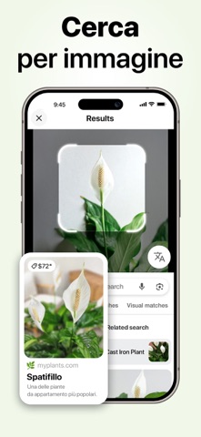 Lens AI: Identifica Foto iPhone screenshot 2