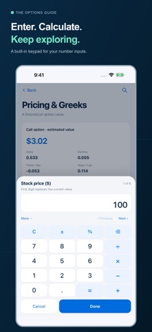 The Options Guide, kuvakaappaus 6