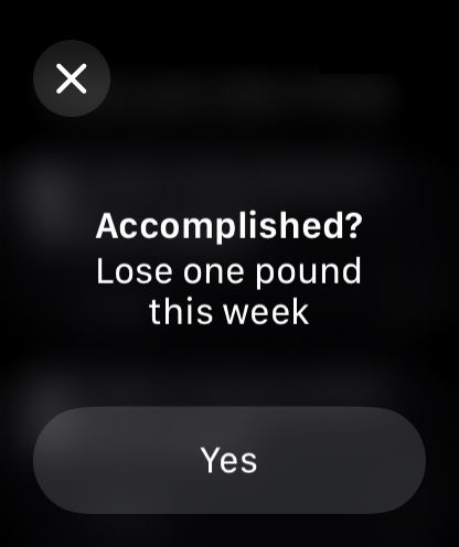 Focus On Five screenshot 17