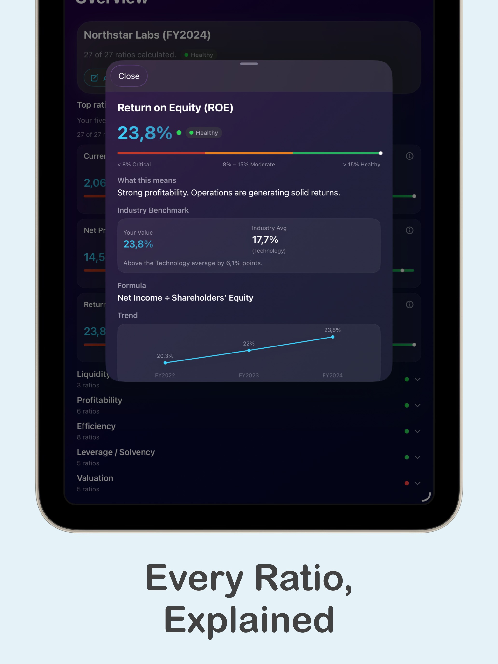 Financial Ratios Pro