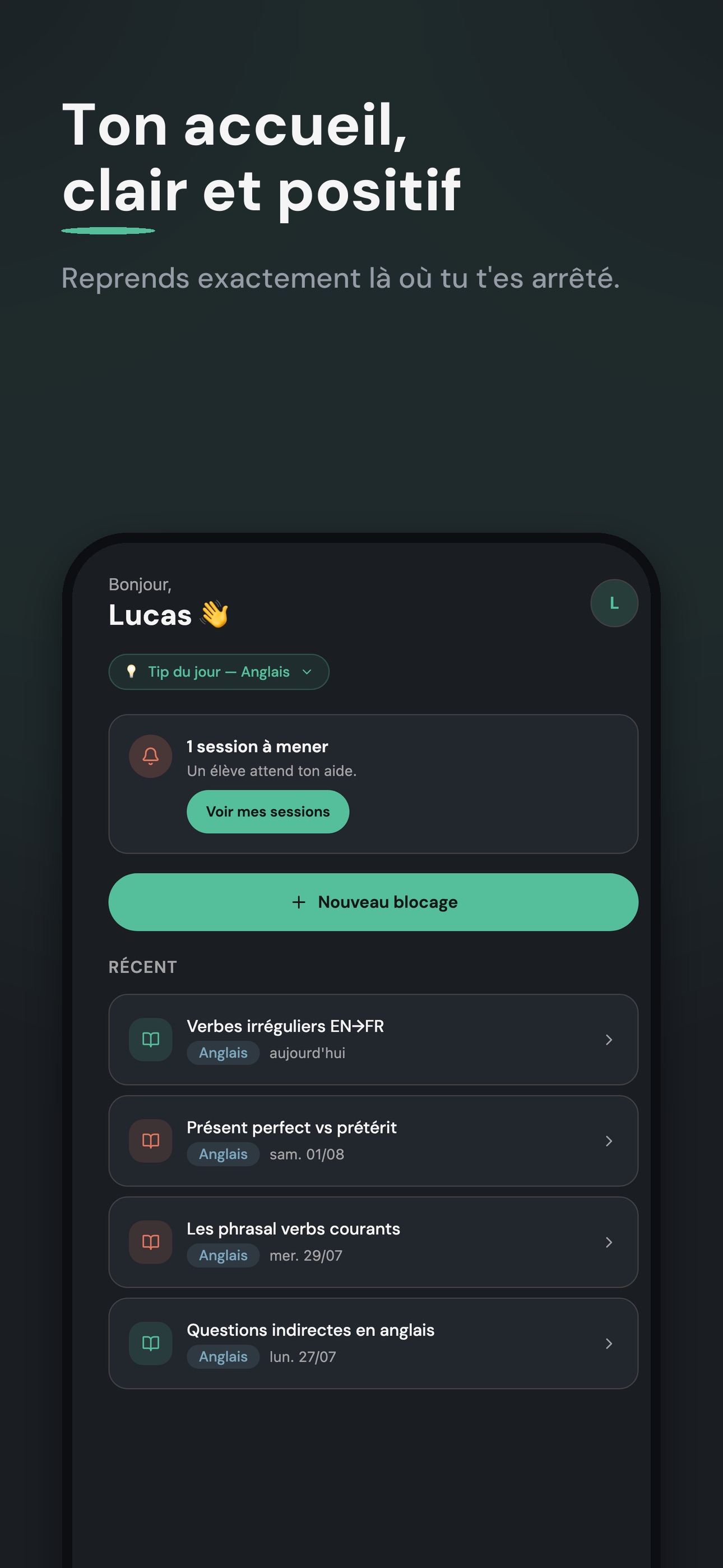 Screenshot 6 of Lapilli -