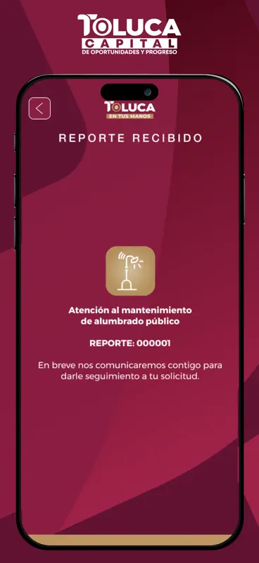Toluca en tus manos screenshot 3 of 5