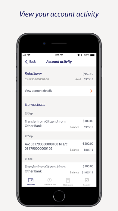 Rabobank Online Savings NZ Screenshot
