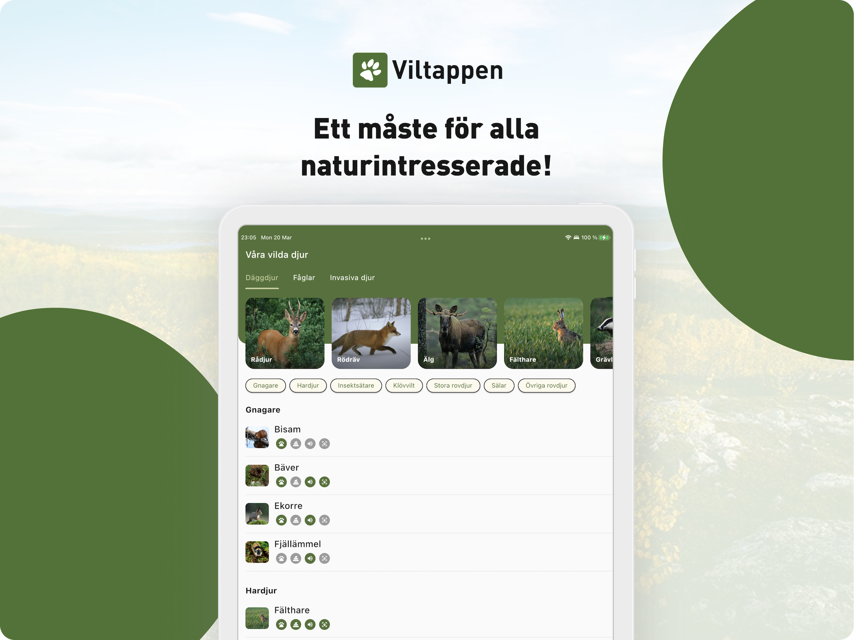 Viltappen