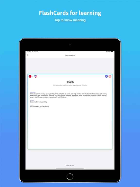 Turkish Translator & Learn 45+ iPad screenshot 8 - Productivity app