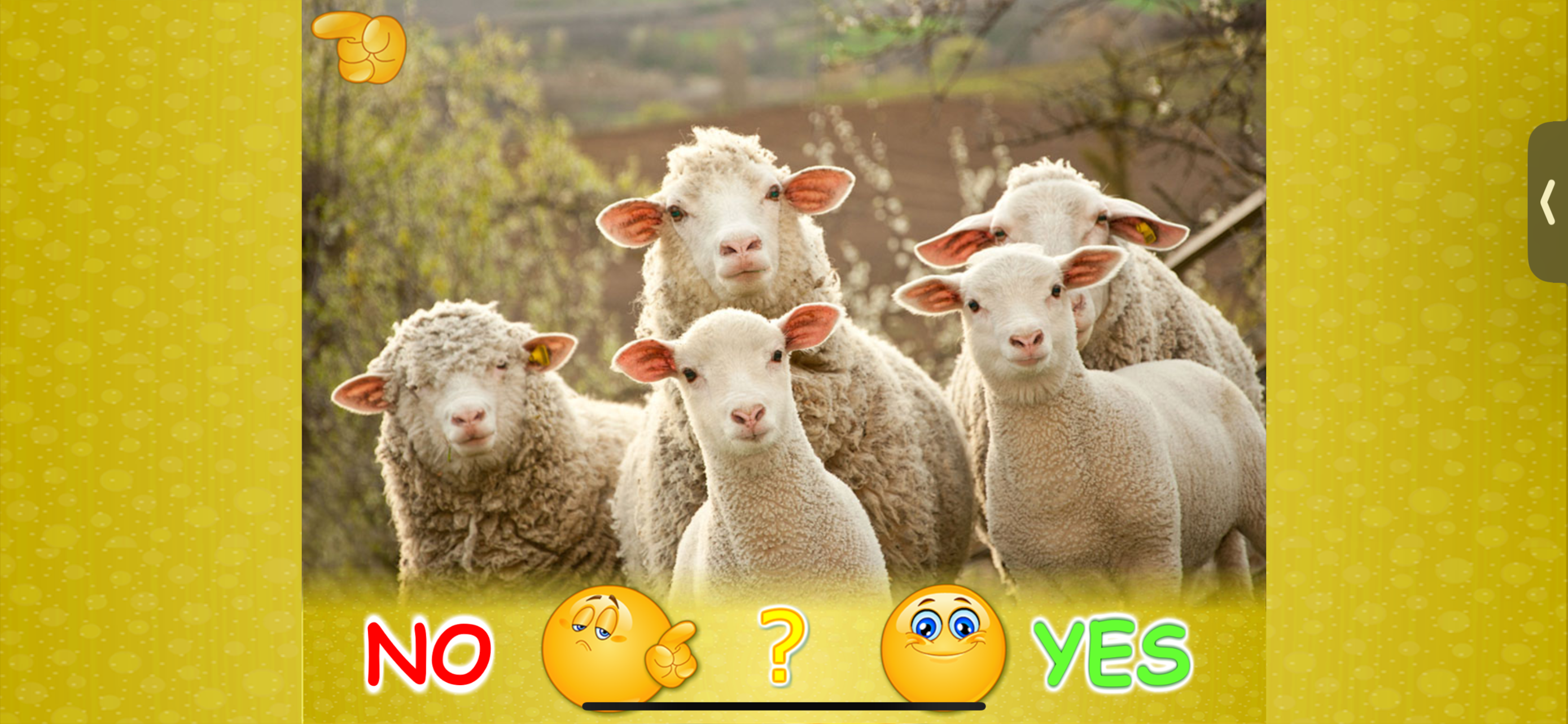 Animal picture games for kids. screenshot 8