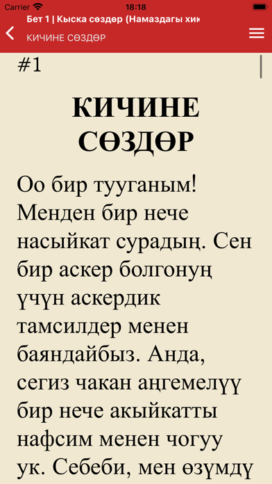 Risale-i Nur Kyrgyz Screenshot
