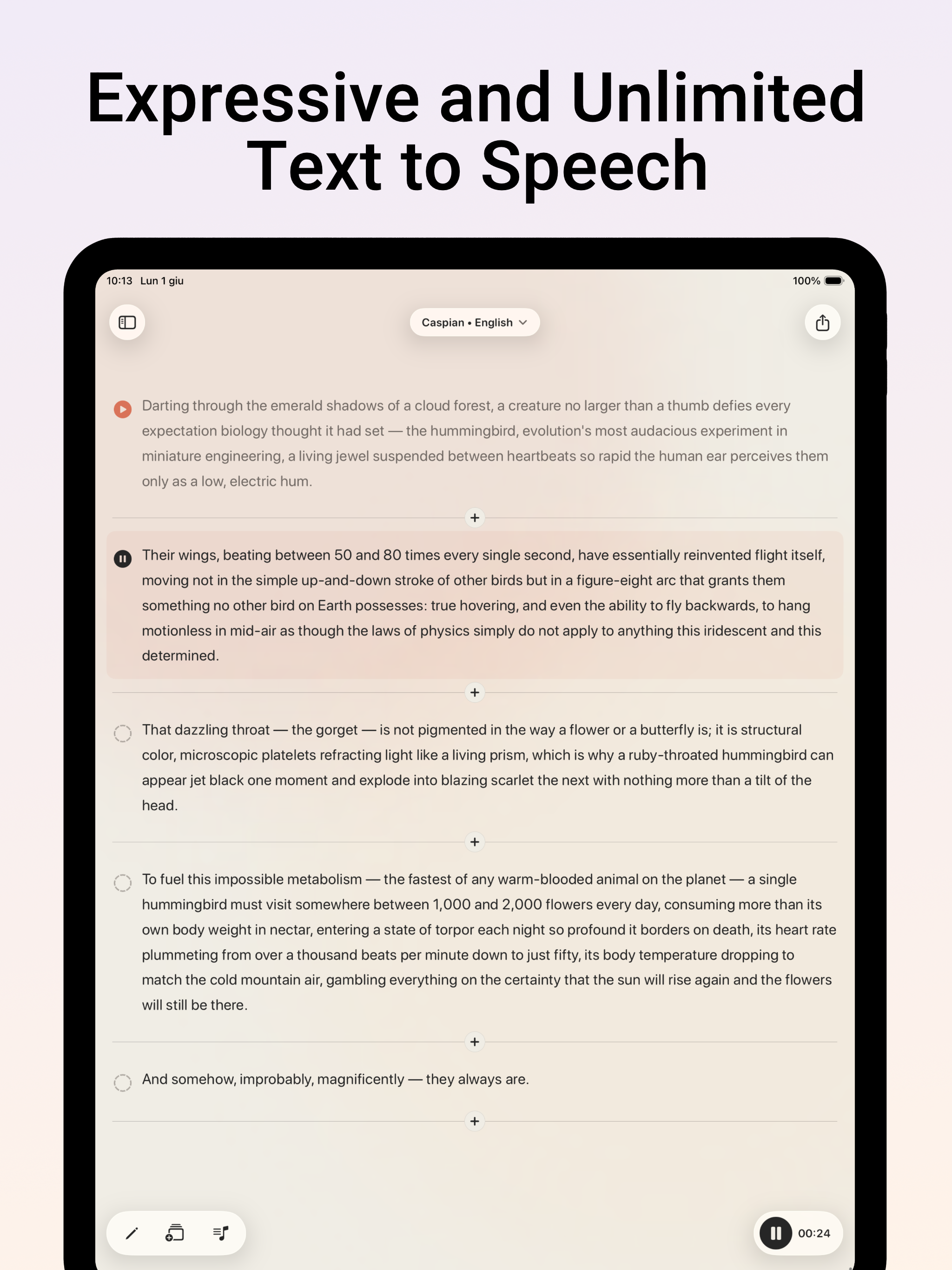 ToneTTS Local Speech Generator screenshot 7