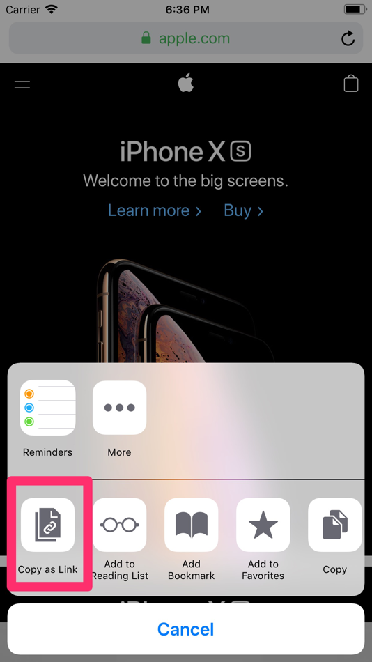 #3. Copy as Link (iOS) 由: SATOSHI SAKAO
