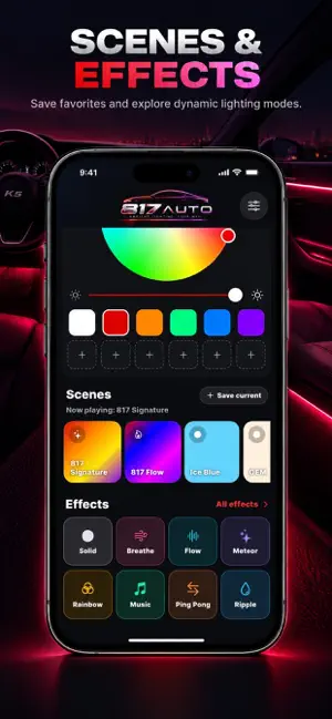 817 AUTO screenshot 3