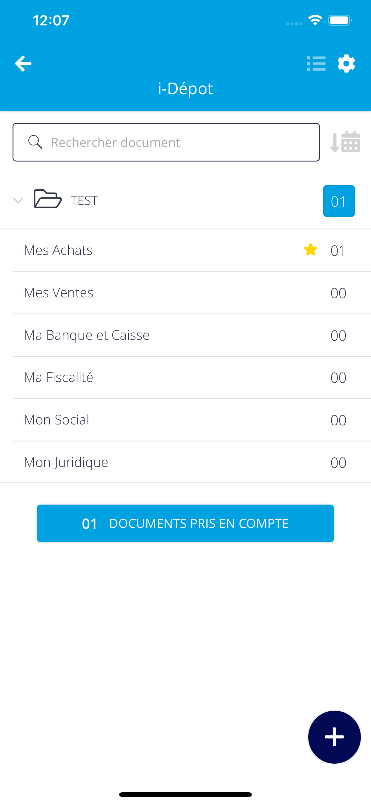 CICA CONSEILS