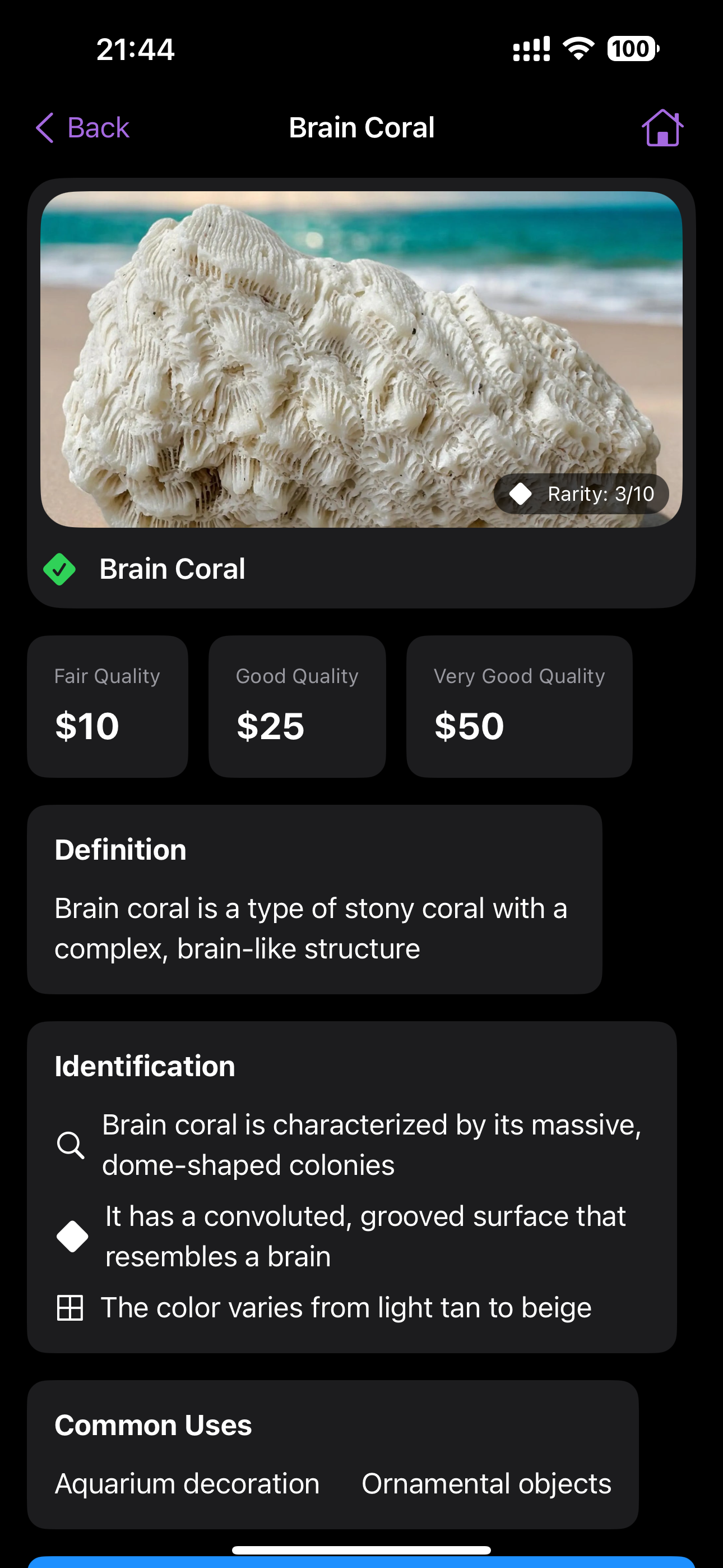 Rock Identifier: Stone Scan ID screenshot 7