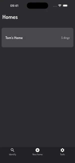 dingz installer screenshot 1
