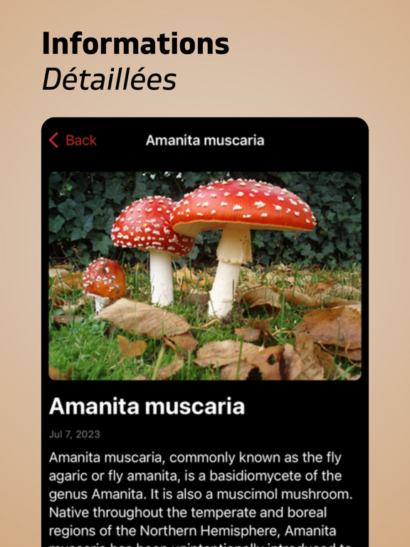 Screenshot #6 pour Identification Champignon+