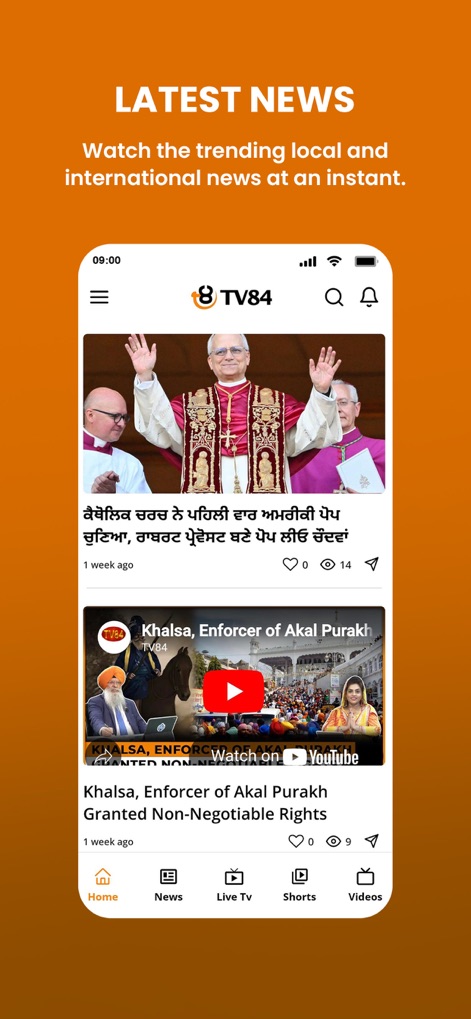 TV84 News - News App | MWM
