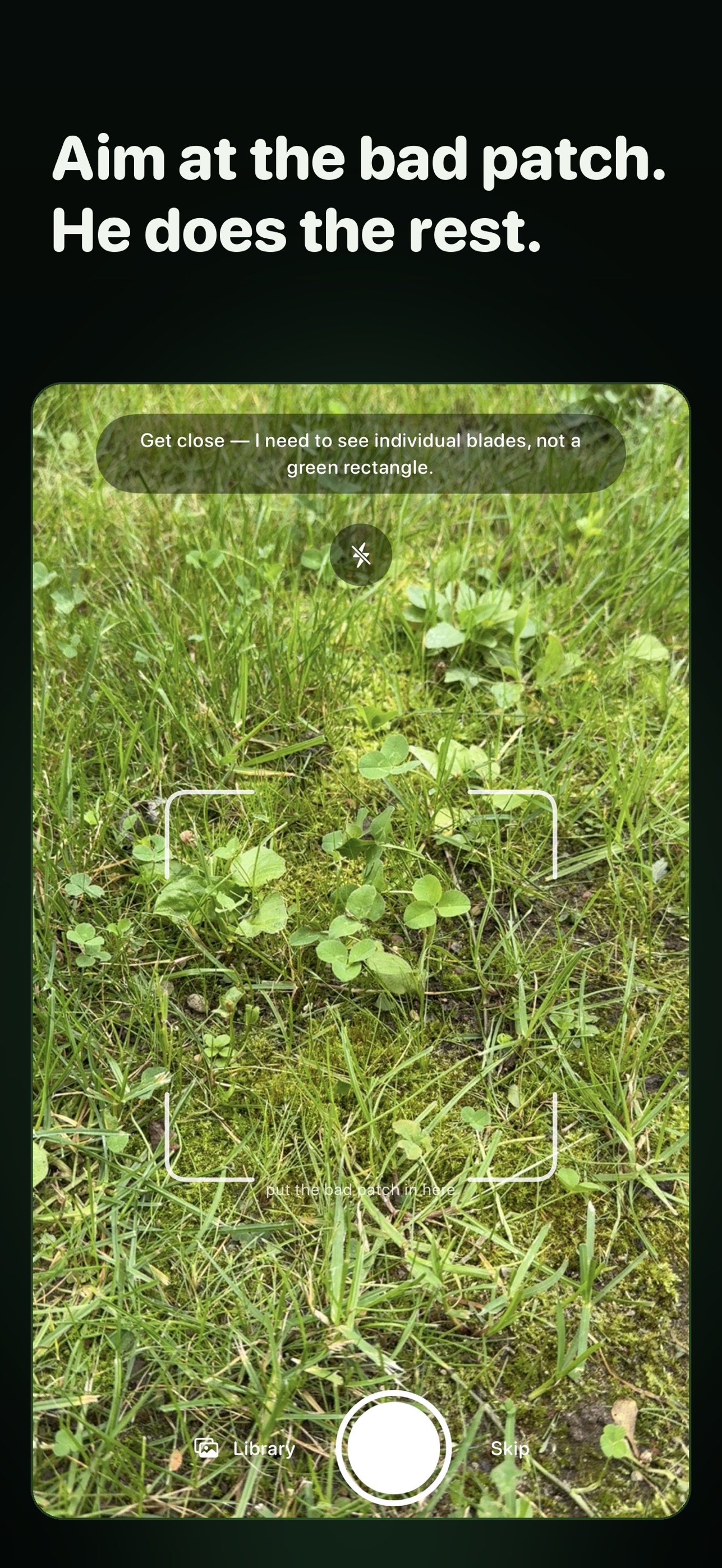 Screenshot 3 of Lawn Guru & Identifier: Sward