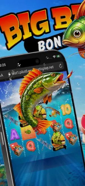 Bibass Bonza iPhone screenshot 1
