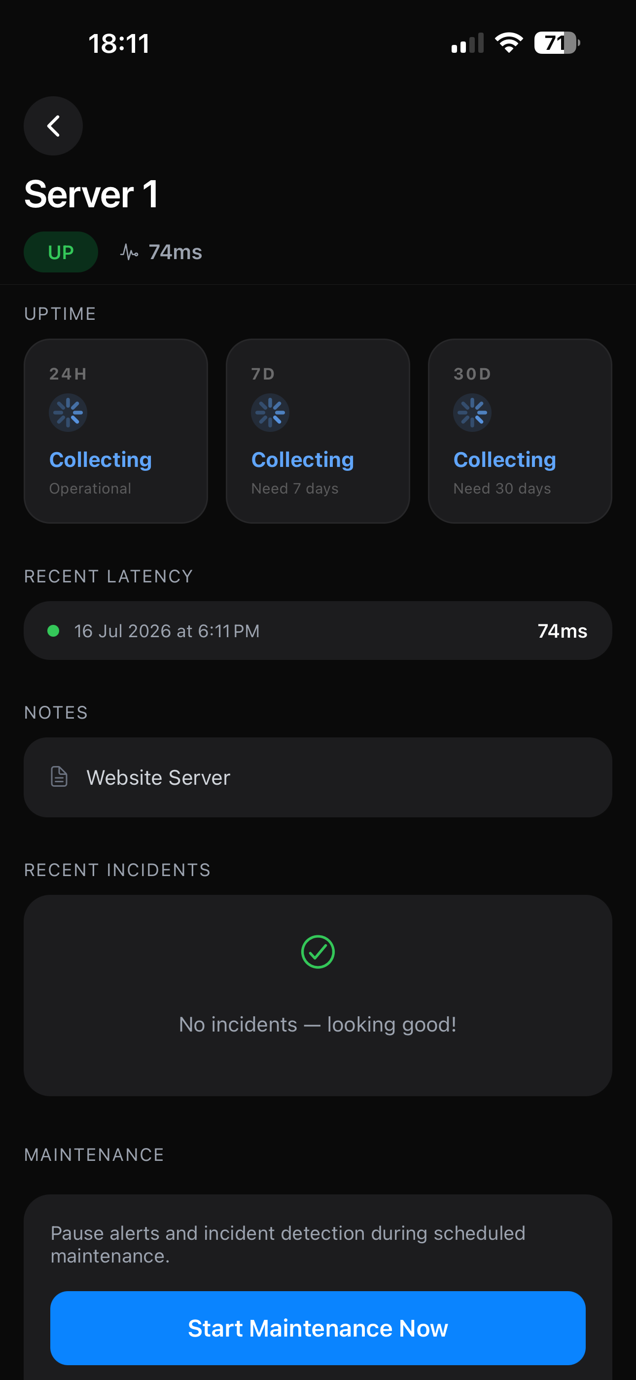 Server Pulse - Uptime Monitor screenshot 3