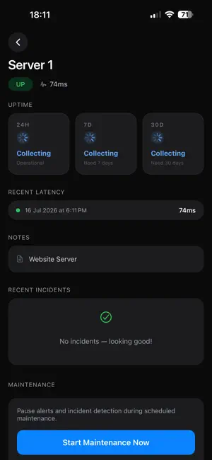 Server Pulse - Uptime Monitor screenshot 3