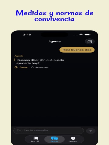 Ley 1801 del 2016 iPad screenshot