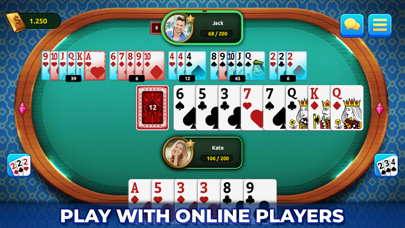 Rummy 500 Live Screenshot