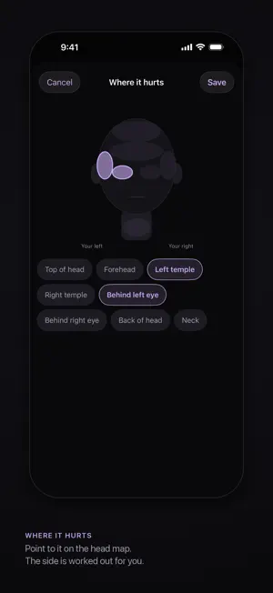 Aura Migraine Diary screenshot 2