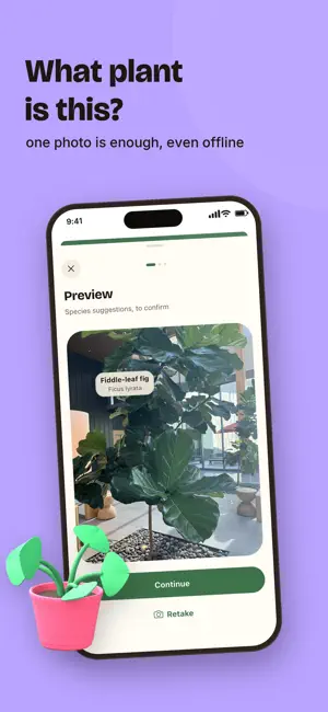 Auxine: Plant Journal screenshot 3