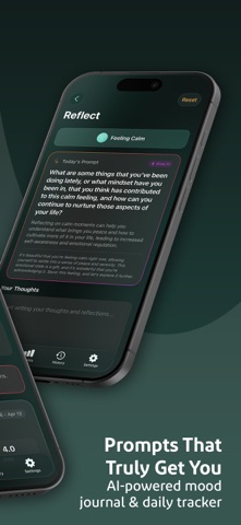 Serenity AI Journal & Diary screenshot