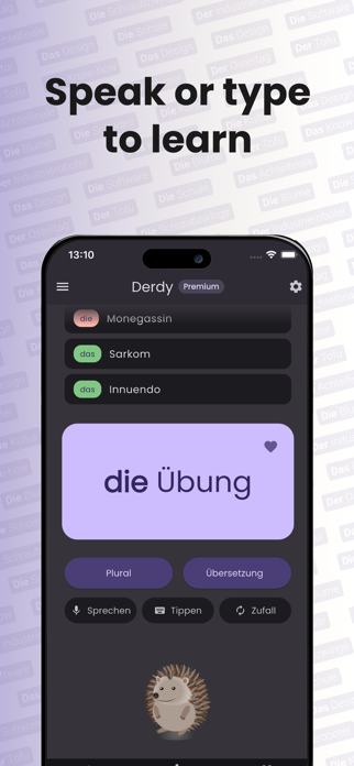 Derdy: Learn German articles Screenshot 1 of 6