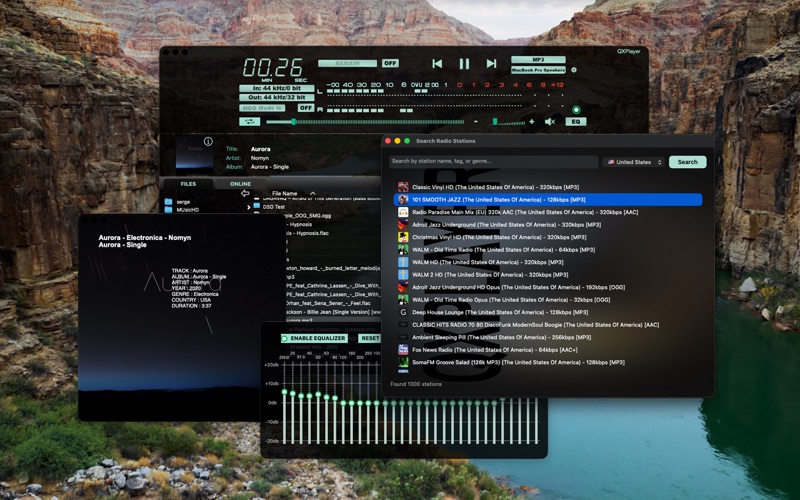 QXPlayer iPhone screenshot 5 - Music app
