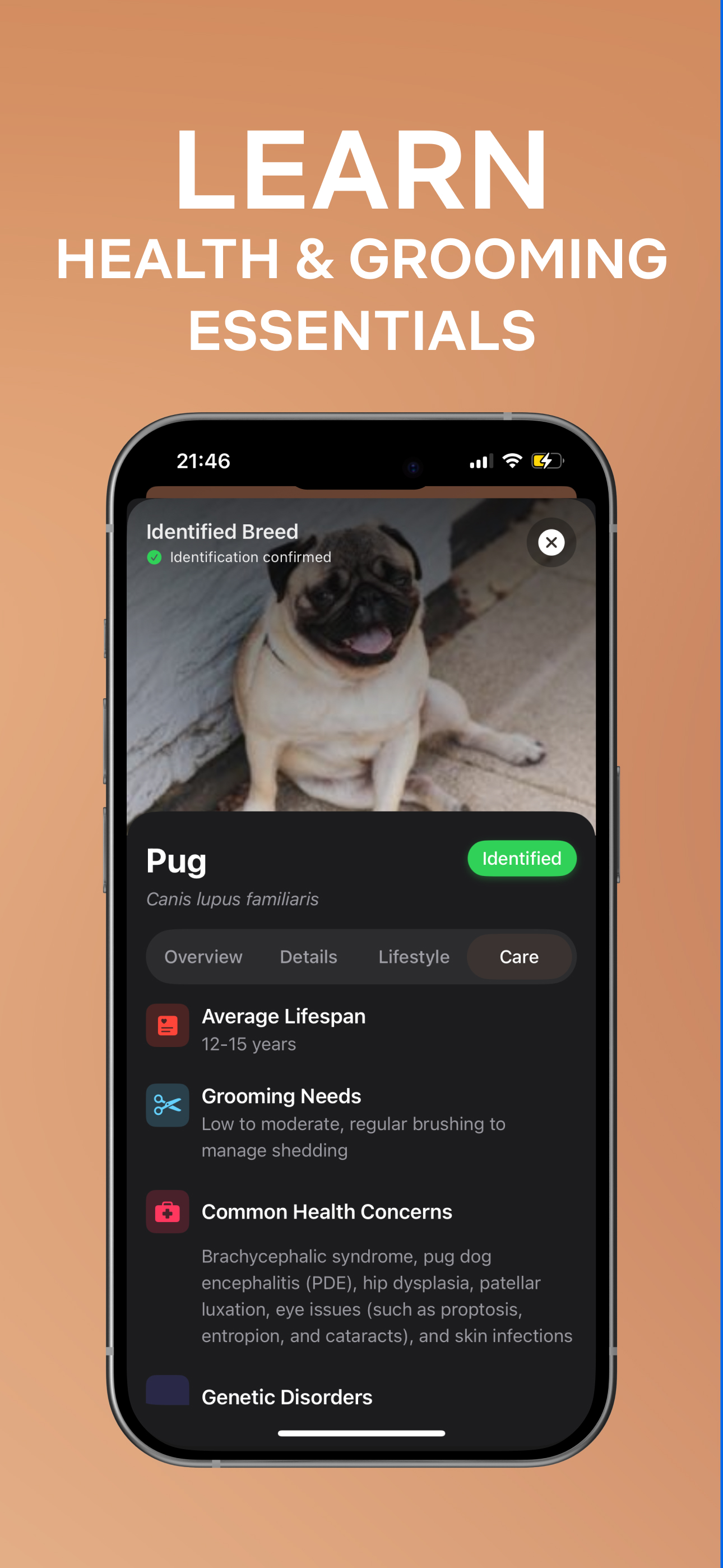 Dog Breed Identifier: Scan AI screenshot 6