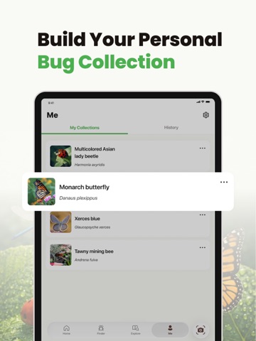 BugID: Insect & Spider ID iPad screenshot