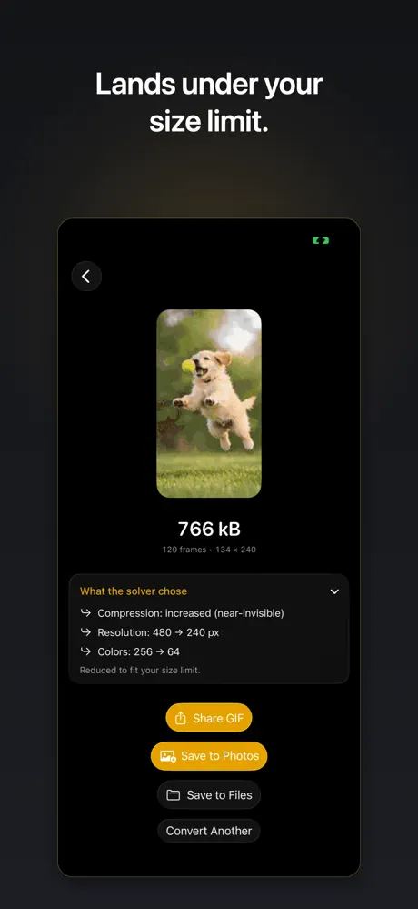 Video to GIF – GIF Maker screenshot 2