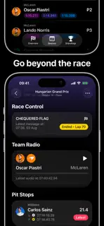 Lights Out: Formula Stats screenshot 4