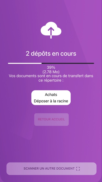 C.C.Z. CONSULTING screenshot-6