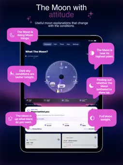 What The Moon? screenshot 10
