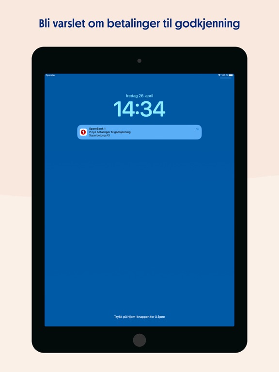Screenshot #5 pour SpareBank 1 Bedrift