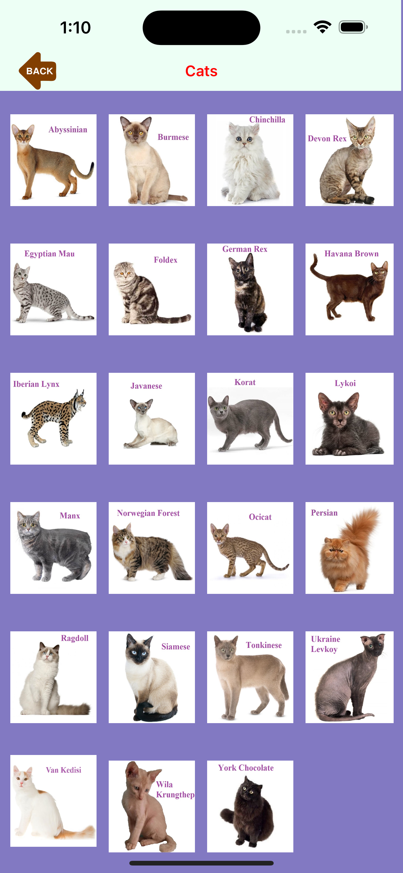 Alphabet-Book