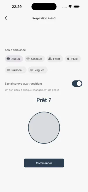 Ollisto screenshot 3