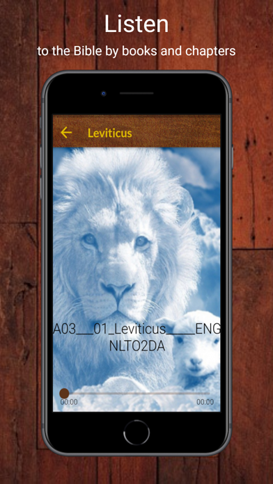 NLT Study Bible Audio Screenshot